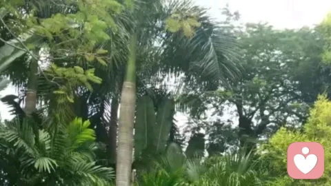 缓解焦虑情绪的方法有哪些