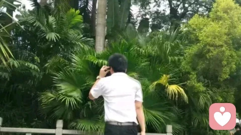 如何提升心情让自己更积极