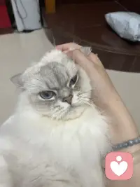 解决隔阂最好的方式是什么配图