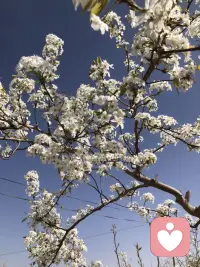 其实人生很多时候，不需要太用力。
不必事事完美，不必人人喜欢，不必一直坚强。

你可以偶尔脆弱，可以偶尔难过，可以允许自己慢一点、笨一点、普通一点。
那些看似不起眼的温柔：一杯热水、一阵晚风、一句安慰、一个拥抱，都是生活偷偷给你的糖。

不用害怕前路漫漫，真正对你好的人，会穿过人海，慢慢走向你。
不用强迫自己发光，你本来就值得被爱，不必证明，不必勉强。

慢慢来，一切都会变好的。
你已经很努力了，真的，辛苦了。配图