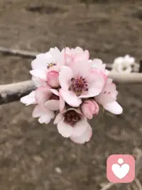 有时候生活很慢，心事很轻，风也很温柔。
不必急着长大，不必逼自己坚强。
你可以难过，可以疲惫，可以偶尔脆弱。
总有人在默默心疼你，总有些温暖在悄悄靠近你。
好好爱自己，慢慢来，一切都会变好的。
你值得被温柔以待，也值得所有美好。配图