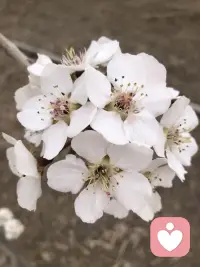 有时候生活很慢，心事很轻，风也很温柔。
不必急着长大，不必逼自己坚强。
你可以难过，可以疲惫，可以偶尔脆弱。
总有人在默默心疼你，总有些温暖在悄悄靠近你。
好好爱自己，慢慢来，一切都会变好的。
你值得被温柔以待，也值得所有美好。配图