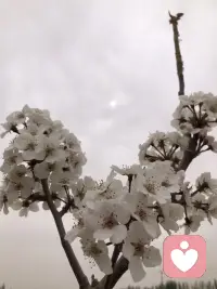 有时候生活很慢，心事很轻，风也很温柔。
不必急着长大，不必逼自己坚强。
你可以难过，可以疲惫，可以偶尔脆弱。
总有人在默默心疼你，总有些温暖在悄悄靠近你。
好好爱自己，慢慢来，一切都会变好的。
你值得被温柔以待，也值得所有美好。配图