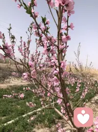 真正的暖和，从来不是天气有多热，而是有人惦记、有人包容、有人懂你。
一句轻声安慰，一个温柔眼神，一段默默陪伴，便足以抵御世间所有寒凉，让心一直安稳温暖。配图