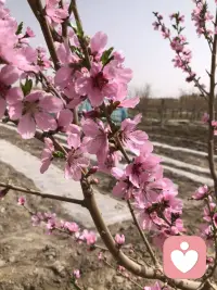 真正的暖和，从来不是天气有多热，而是有人惦记、有人包容、有人懂你。
一句轻声安慰，一个温柔眼神，一段默默陪伴，便足以抵御世间所有寒凉，让心一直安稳温暖。配图