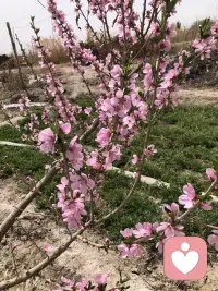 真正的暖和，从来不是天气有多热，而是有人惦记、有人包容、有人懂你。
一句轻声安慰，一个温柔眼神，一段默默陪伴，便足以抵御世间所有寒凉，让心一直安稳温暖。配图