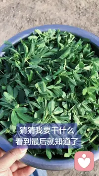 不必追赶所有人的脚步，你有自己的节奏。
难过就休息，疲惫就放空，脆弱也没关系。
世界很吵，但你可以安心做自己。
总有人在悄悄爱着你，总有些美好，正在奔向你。配图