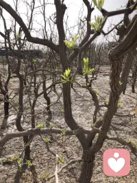 人生不必完美，只要平安顺遂就好。
累了就歇歇，痛了就放下，心宽一点，日子就暖一点。
愿你被世界温柔以待，也学会温柔对待自己，
眼里有光，心中有爱，步步皆是温柔与晴朗。配图
