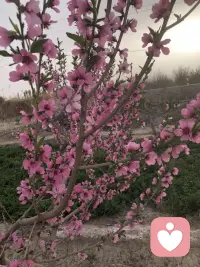 每个人心里都藏着一段不为人知的辛苦，不必强迫自己立刻释怀。你可以脆弱，可以难过，可以慢慢愈合。不用和别人比坚强，你已经撑过了很多难熬的时刻。往后，多心疼自己一点，好好生活，慢慢发光，温柔和好运，都在向你靠近。

生活偶尔会让你失望，但你永远值得被温柔对待。那些受过的伤、流过的泪，都不是你的错。不必苛责自己，也不用假装快乐。允许一切发生，也允许自己慢慢来。风会停，雨会止，你会慢慢好起来，被世界温柔拥抱。

别着急，也别害怕，你不是一个人在硬撑。那些深夜的委屈、心底的苦难，都会慢慢被时光抚平。你已经很勇敢了，不必完美，不必强大。好好爱自己，好好照顾自己，剩下的，交给时间，一切都会慢慢变好。配图