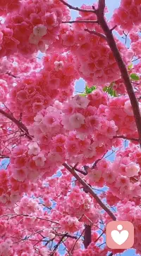 生活不必总是匆忙，累了就停下来抱抱自己。

你已经很勇敢很努力了，那些难熬的都会过去，温柔和好运，正一点点向你靠近。