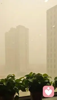 2026年第一场正式的沙尘暴来了

                 中国-新疆-喀什