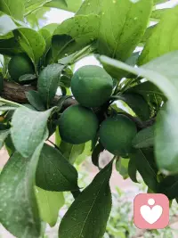 生活偶尔会乌云密布，但你本身就是一束光，哪怕微弱，也能照亮自己的路，别灰心，一切都会慢慢变好。配图