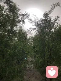 加油配图