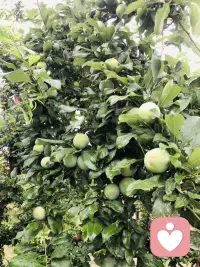 2026.6.6.6
祝大家一路六六六六