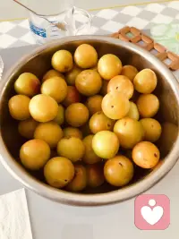 李子自由
造了一盆、