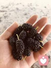 蜜蜜甜、