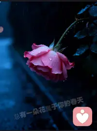 岁月流转，心念更迭，想要的本就一直在变。
尽力去做，也坦然接纳力不能及。
世间本无绝对，不必强求必然。
心随己意，缘随天定，慢慢生活就好。
那些你执着的答案，早已藏在日复一日的烟火人间里。配图
