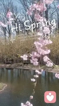 你一定要记住这个世界的规则：
所有关系，只要你肯放下、不再执着，这道题就解了。
无情可破全局。
但无情，不是变成冷血，
而是不执念、不内耗，
缘来珍惜，缘去随意。

到最后大多是这样：
无情人，演着痴情种；
有情人，修着无情道。配图