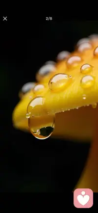 所有相遇都有意义，就像雨露奔赴蘑菇，温柔终将与美好相拥。配图