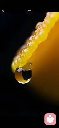 所有相遇都有意义，就像雨露奔赴蘑菇，温柔终将与美好相拥。配图
