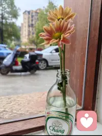 清晨慢慢明白，所有对别人的期待，其实都是对自己的伤害。把希望寄托在别人身上，就等于把情绪的开关交给了对方，期待越高，失望越重，最后为难的从来都是自己。新的一天，学会降低期待，收回依赖，把温柔和安全感都留给自己。配图