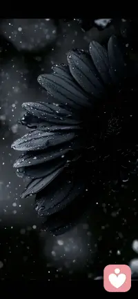 能改变自己的是神，总想改变别人的是神经bing配图