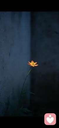 你若鼓勵一個愚蠢的人繼續愚蠢，他會對你心存感激，可你若試圖幫他走出愚蠢告訴他哪裏不對，應該怎么做，對他來説 那就是赤裸裸的冒犯他會恨你。因爲他早已從這份愚蠢中獲得了足够穩定的安全感，所以尊重每一衹青蛙和它的那口井吧，尊重就好 别試圖改變什么，真的，這世間最深的慈悲從來不是揭穿 而是沉默配图
