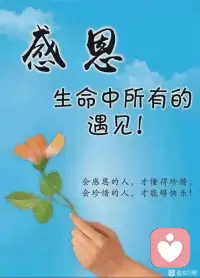 在心里种花，
人生才不会荒芜，
倘若南风知我意，
莫将晚霞落黄昏
是鲜花赠自己，
纵马踏花向自由配图