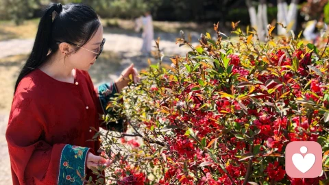你无视我的情绪，某天问我为什么没有那么热情了，我无言以对。\n