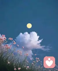 晚风轻踩云朵，月亮在贩售快乐，晚安。配图