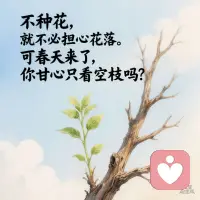 不种花，就永远不用担心花落。可春天来了，你甘心只看空枝吗？配图