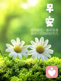 “叮！您的早安鲜花已送达🌼配图