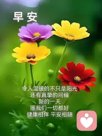 早安呀☀️
晨光正好，微风不燥，愿平安与健康，伴你左右，今天也要开开心心！配图