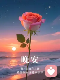 把今天的疲惫都交给海浪，晚安，愿梦里全是温柔。配图