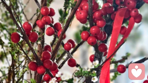 别人一句话就激怒你？你的情绪藏着未接纳的自己\n\n