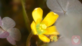 四招化解焦虑，守护内心平衡