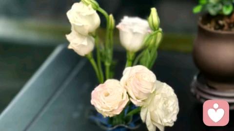 别活在别人的目光里，安静做该做的事