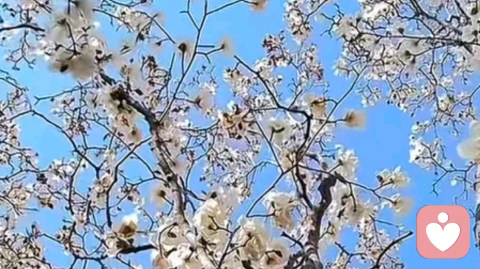 让恐惧消失的唯一方法