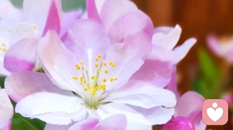 情绪只是逃避的借口,跳过情绪直接做事