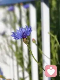 学习体验，看到自己的无限可能，

看到生命（脑、身、心、灵）的“真相”。

一个一个突破限制性的信念，

创造无限生命奇迹。