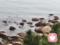 你看到了什么，

你就有了什么，

你看到的越多你的生命越饱满，

生命越饱满你就越有力量！

你越有力量越有能量越能创造生命更多的美好！