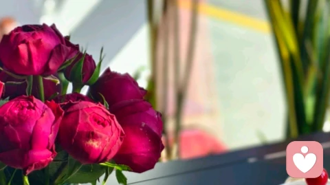 什么时候你才真正开始--有爱