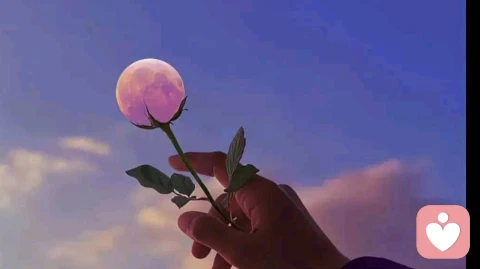 2026最残酷真相：你的孩子正被时代抛弃，你却浑然不知