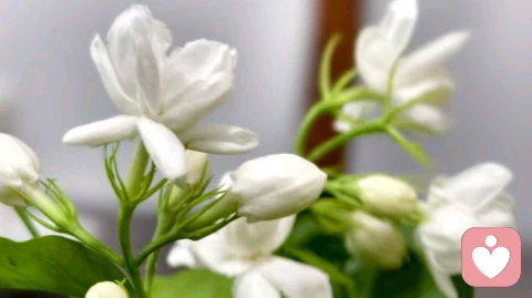 镜映：“说出来”真的有用