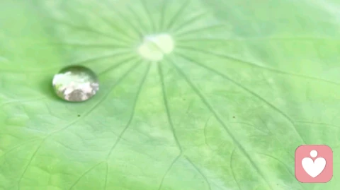 伴侣关系,应是家庭关系的第一顺位