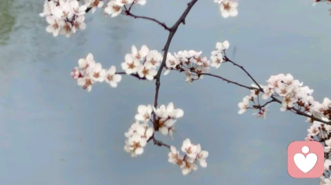 爱的八条法则：读懂爱，才会拥有长久的温暖