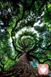 目标不是今天给明天定的，

也不是今天给今天定的，

也不是给现在的你定的，

是给发展起来的你、未来的你定的。

所以那个未来的你要匹配一个跟现在不一样的目标。配图