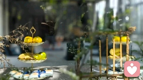 心理创伤问题解决的底层逻辑与身体觉察方法