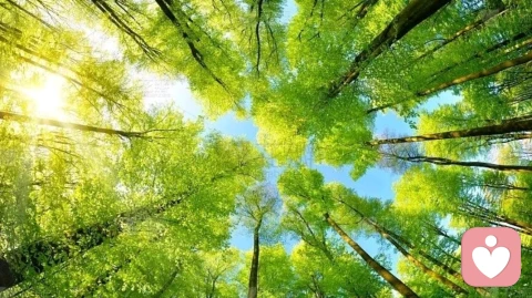 养育孩子是自我的投射