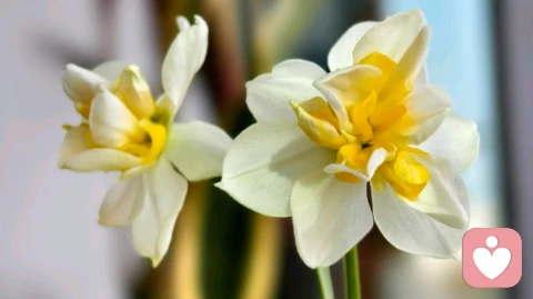 婚姻中，伴侣出现这3种迹象，很危险